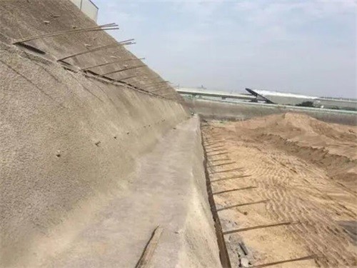 林甸河道边坡加固